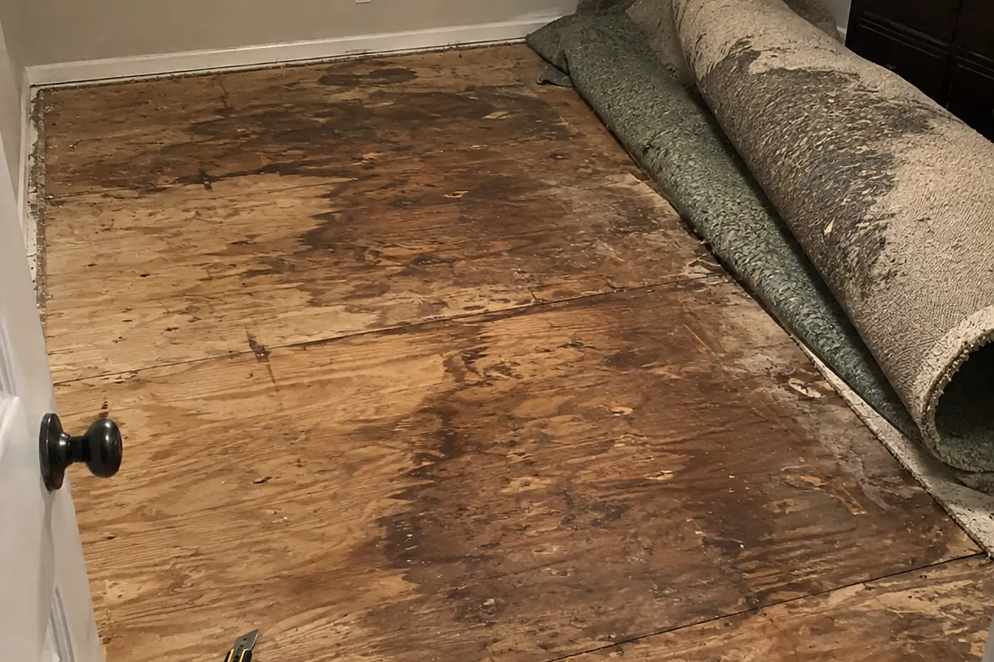 Carpet and underlay pulled back to reveal a water-stained plywood subfloor