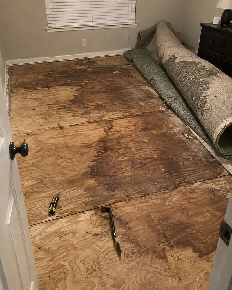 Carpet and underlay pulled back to reveal a water-stained plywood subfloor