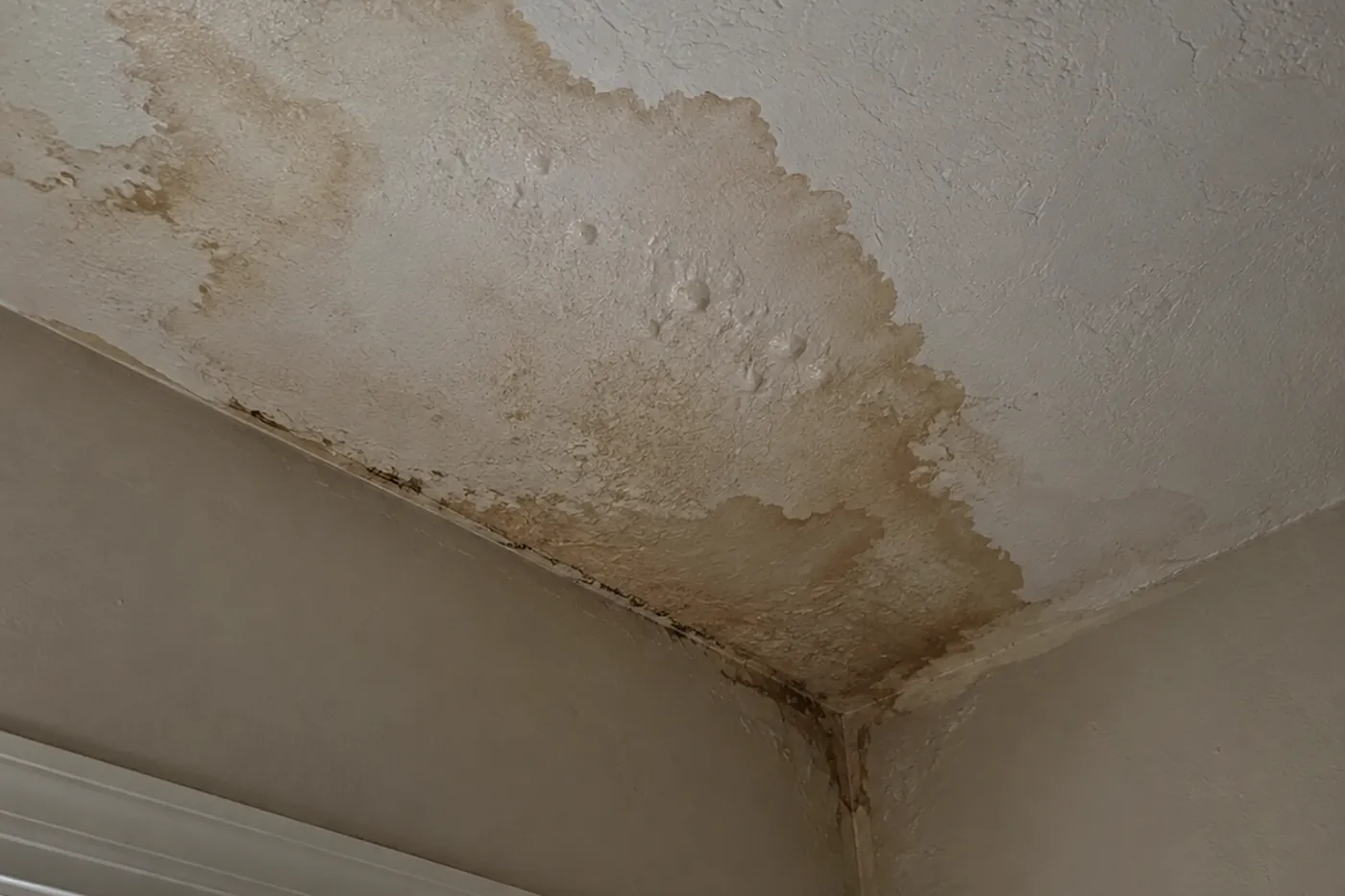 Brown water stain spreading across a ceiling below an upstairs bathroom