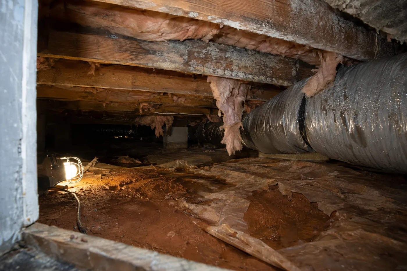 A crawl space with white mold growth on the floor joists, sagging fiberglass insulation, condensation beading on an HVAC duct and a torn vapor barrier over damp clay soil