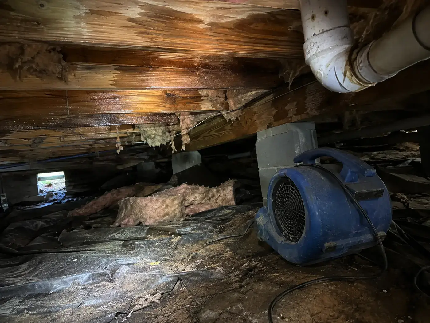 Water-stained floor joists and fallen insulation in a crawl space with an air mover running on the vapor barrier