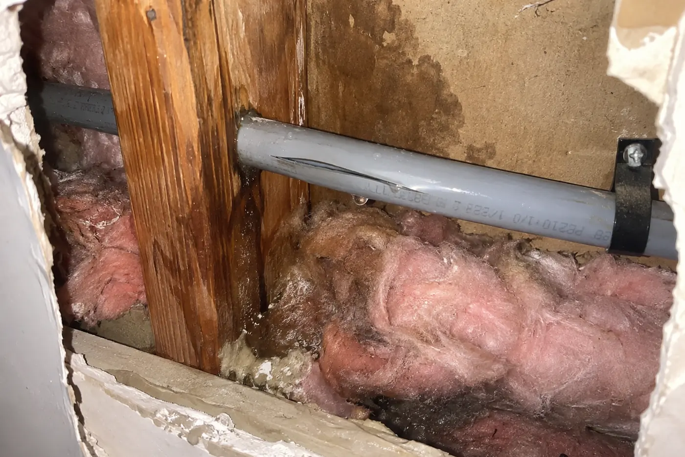 Gray polybutylene supply pipe stamped PB2110 split open inside a wall cavity, with wet insulation and staining below it