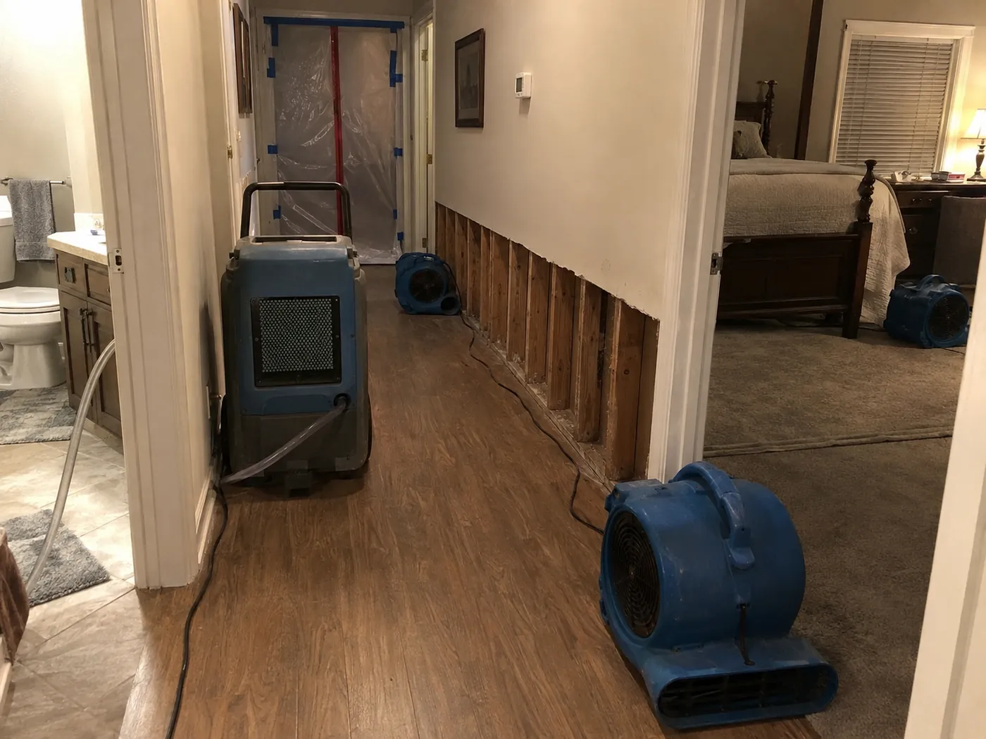 Dehumidifier and air movers drying a hallway with drywall cut back to the studs