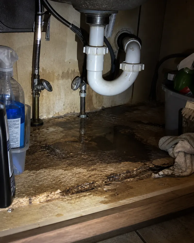 Standing water and swollen particleboard in the cabinet beneath a kitchen sink